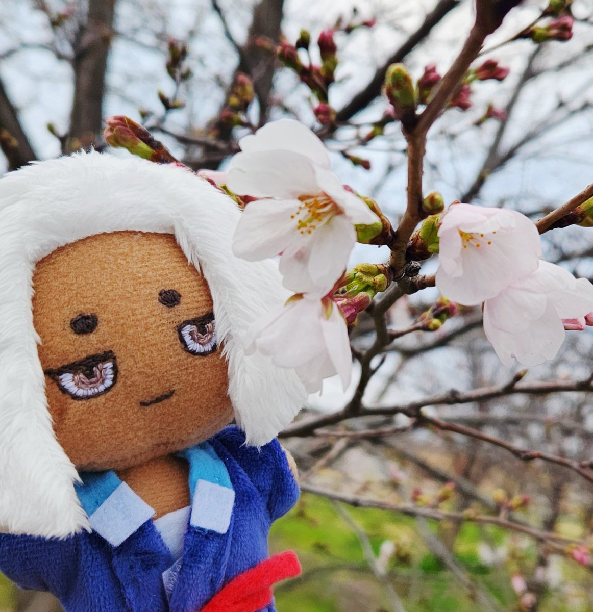 エリコ(版権) tweet media