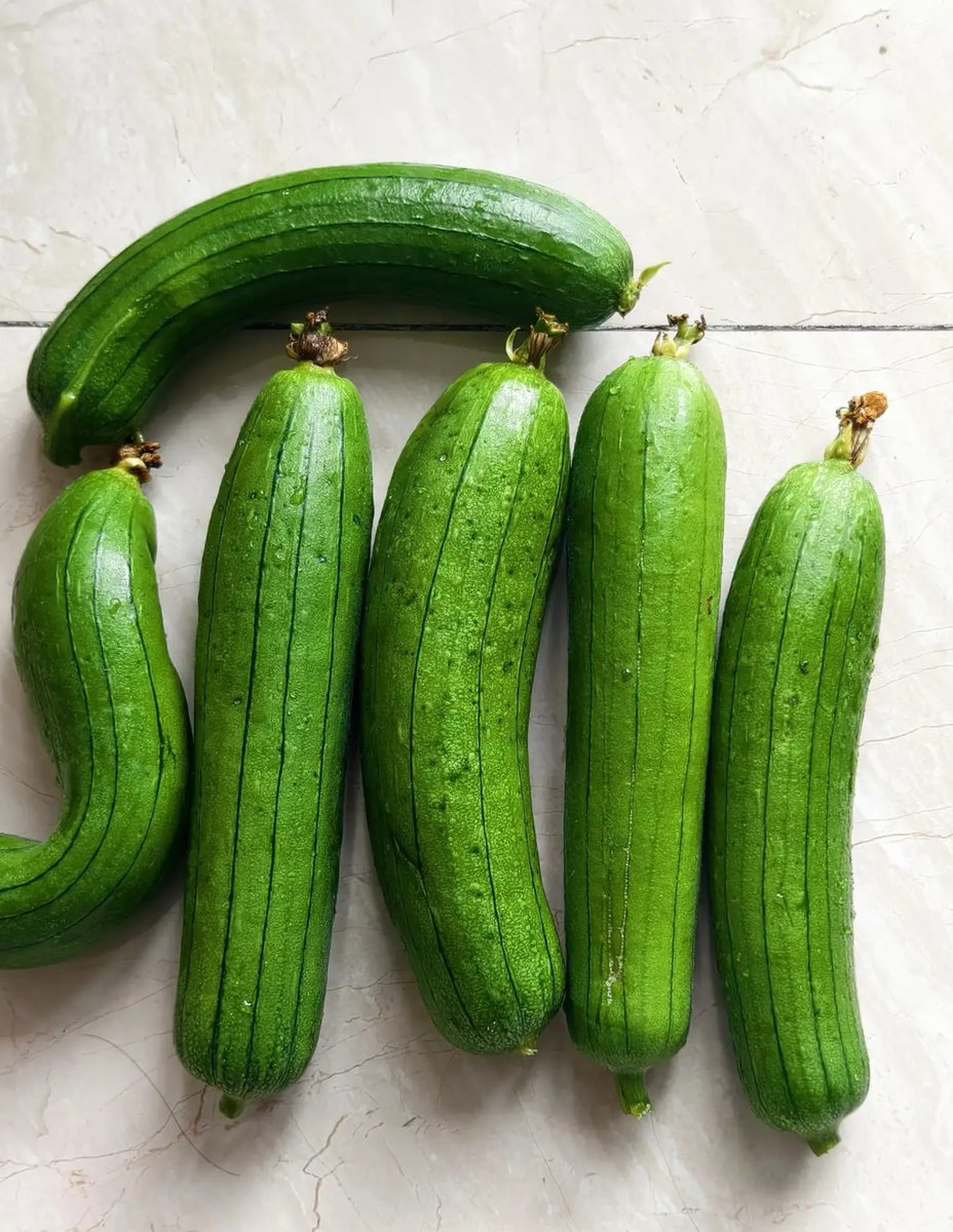 Samuel soren tweet media