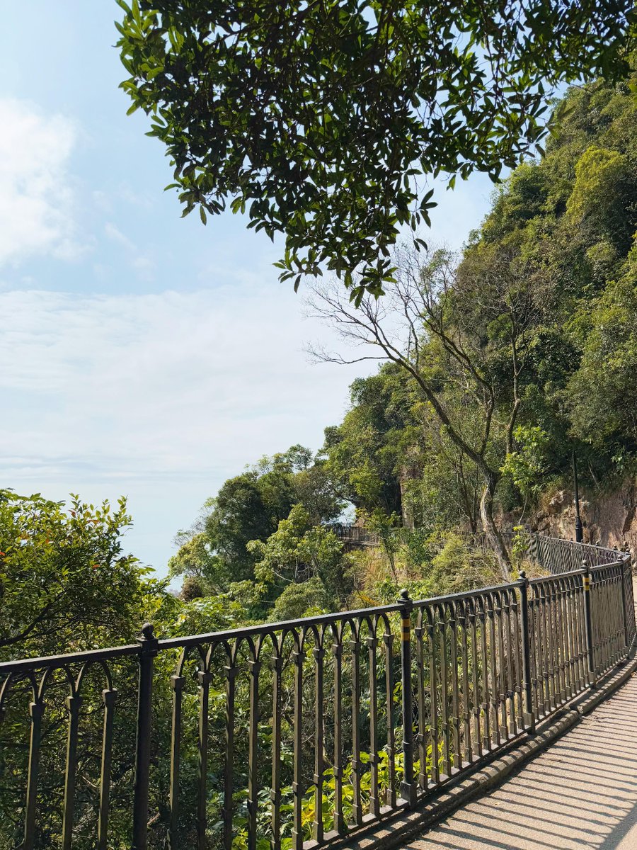 mary cordero tweet media