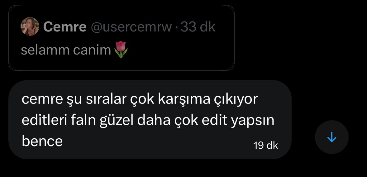 elif yörük tweet media
