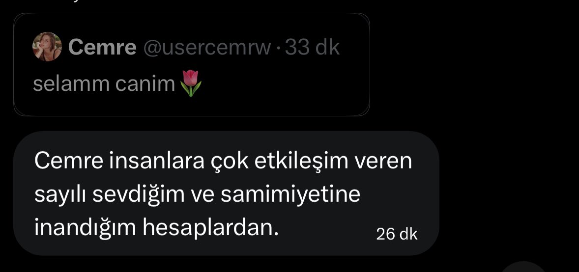 elif yörük tweet media