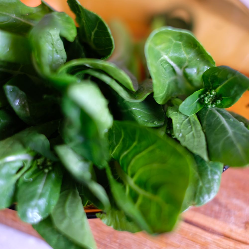 Jull. xDD tweet media