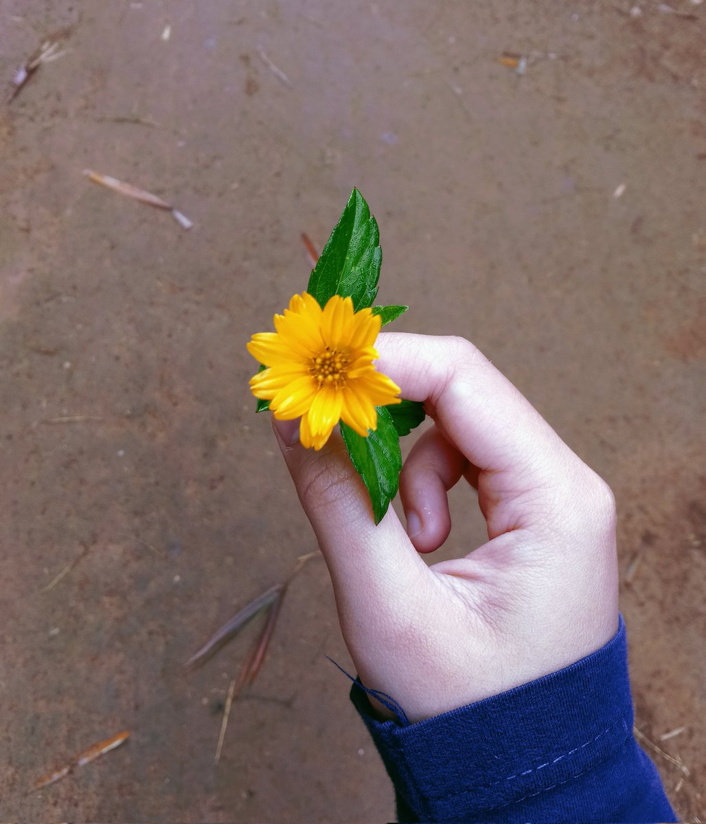 naw☆°∘🍀 tweet media