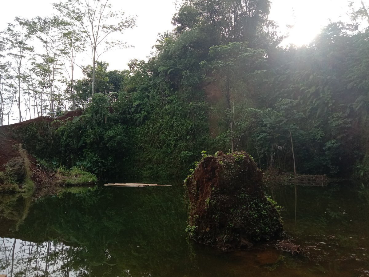 naw☆°∘🍀 tweet media