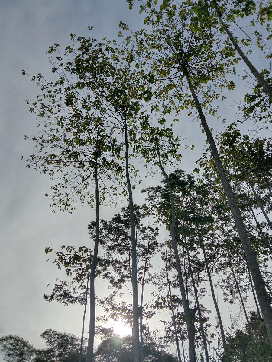 naw☆°∘🍀 tweet media