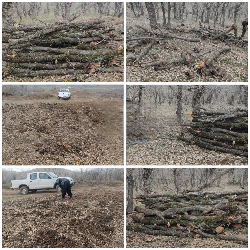 دآر اِسپؽ کو tweet media