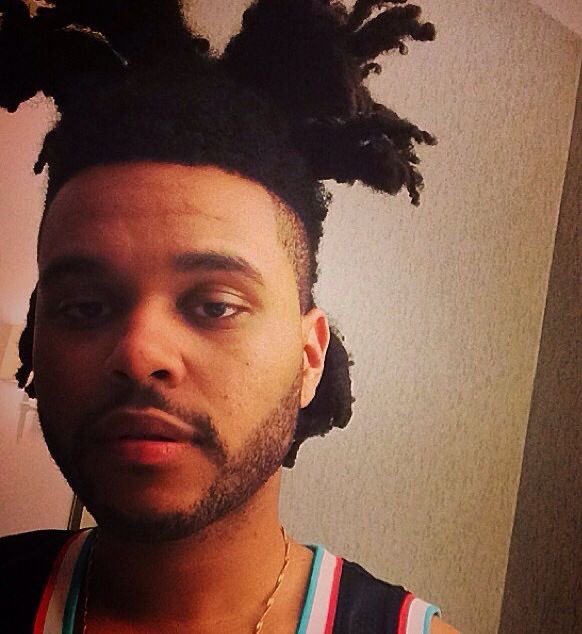 The Birds. tweet media