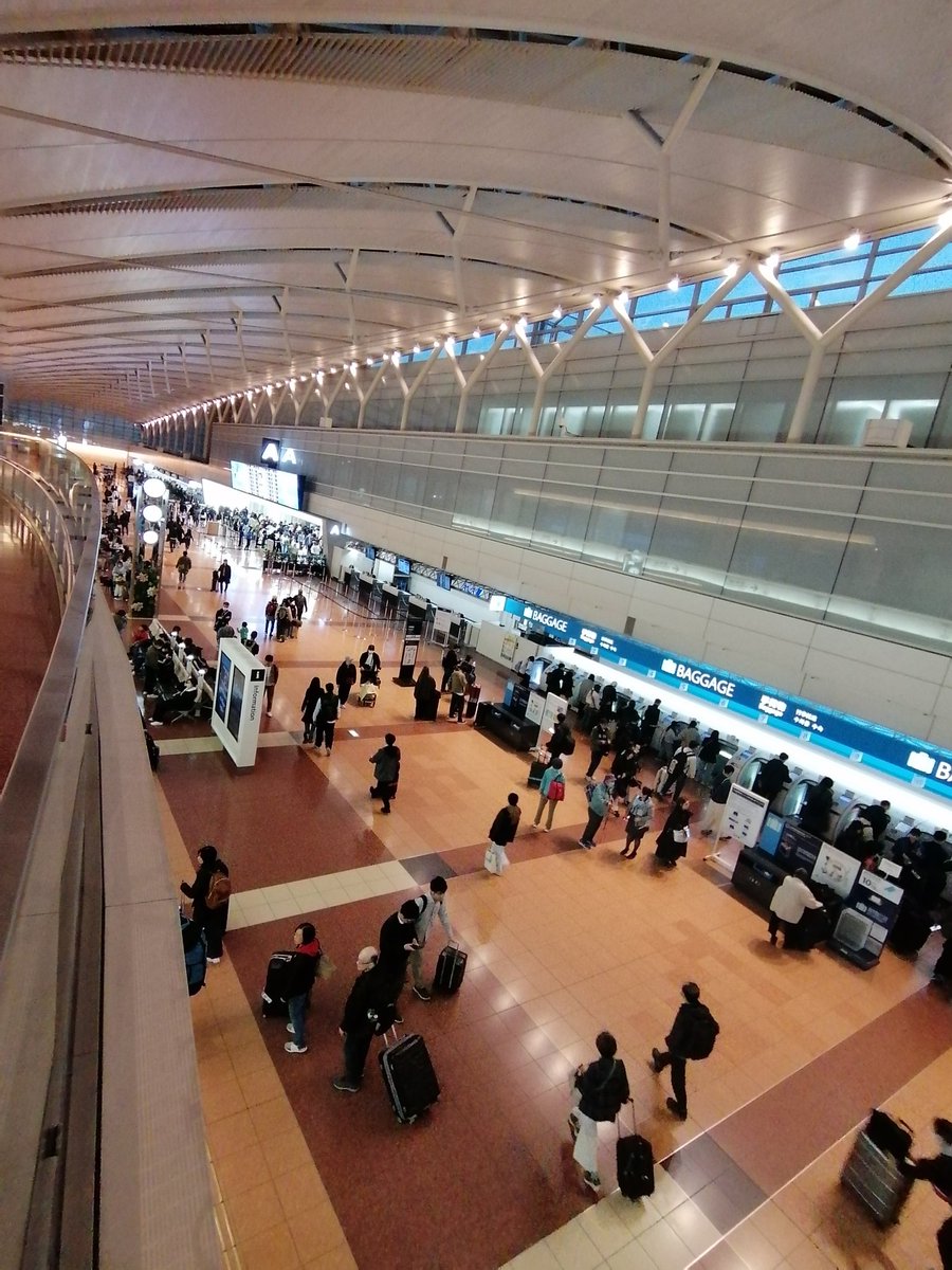 藤井龍成【やきとんたつや】 tweet media