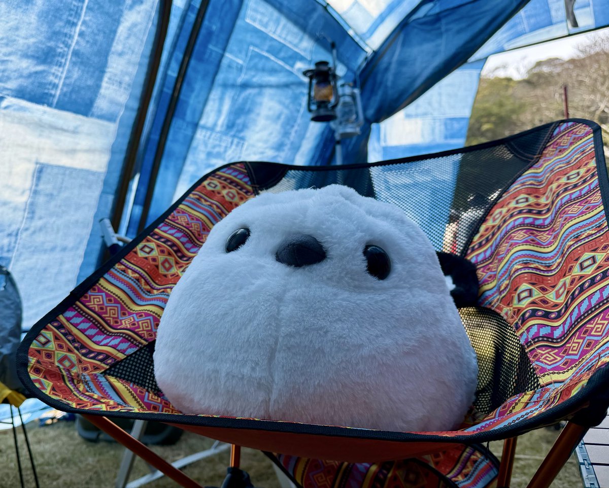 ムク🏕️ tweet media