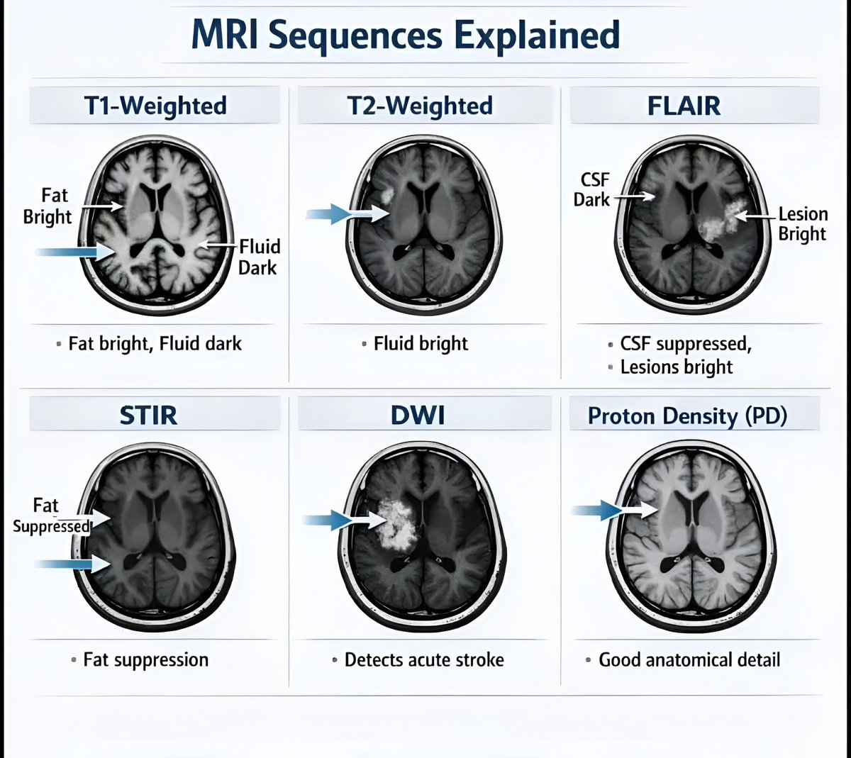 Seraj Ajaj tweet media