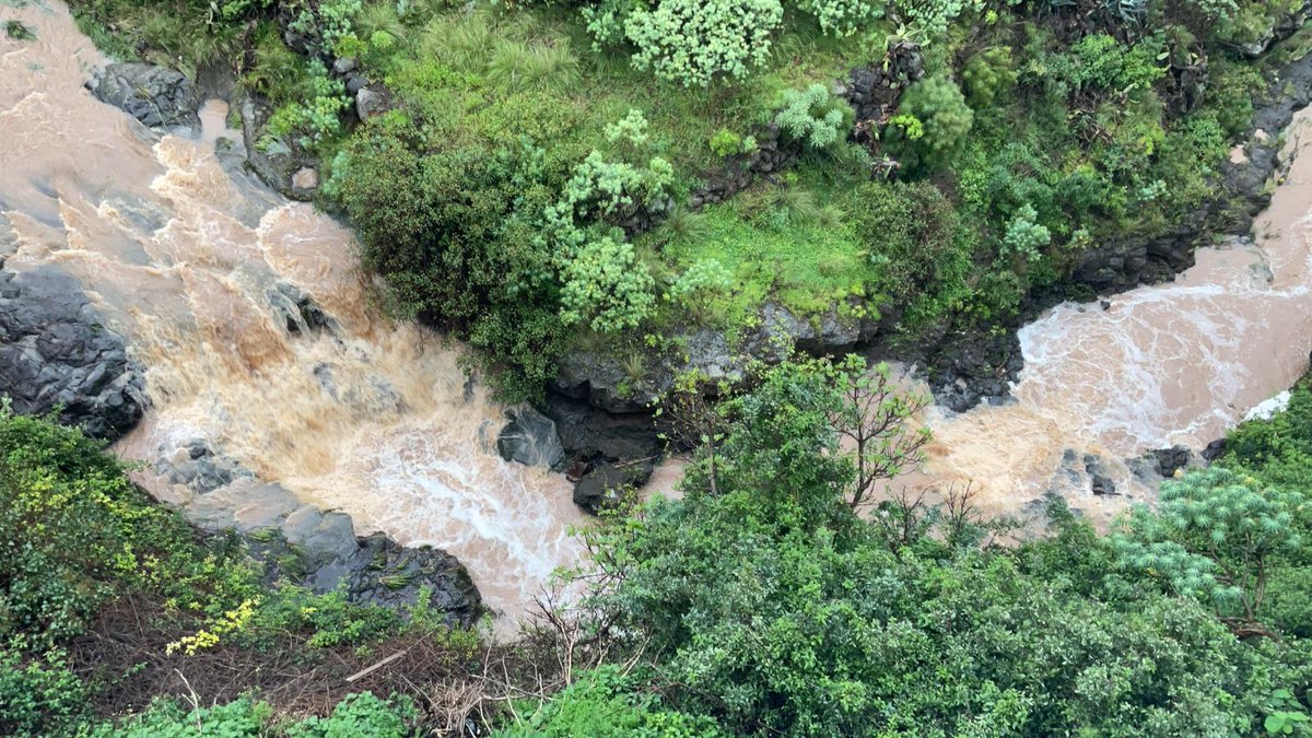 Cabildo de Tenerife tweet media
