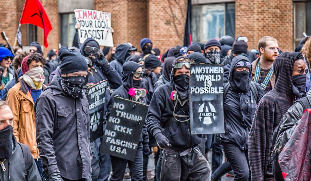 Ari Hoffman tweet media