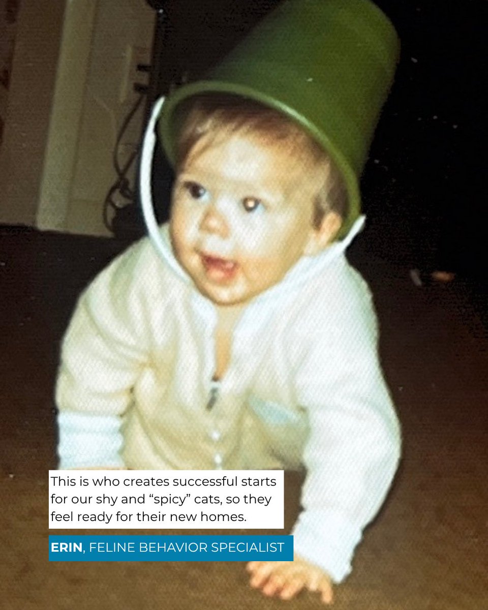 TreeHouseCats's tweet photo. Before we were members of #TeamTreeHouse, we were children who loved our animal friends. 🥰 #TreeHouseCats #Staff #Childhood #Throwback https://t.co/7jR2mlVOh3