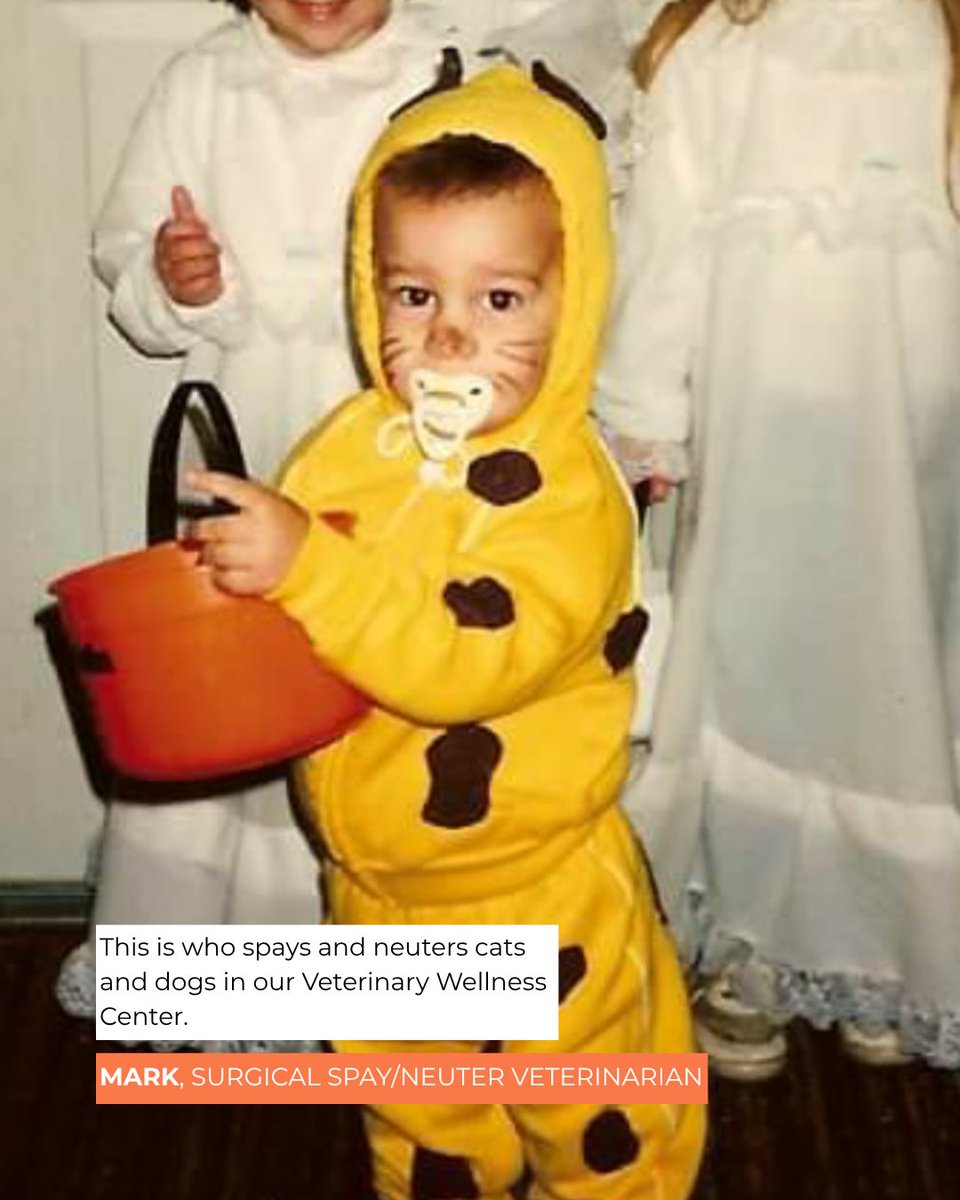 TreeHouseCats's tweet photo. Before we were members of #TeamTreeHouse, we were children who loved our animal friends. 🥰 #TreeHouseCats #Staff #Childhood #Throwback https://t.co/7jR2mlVOh3