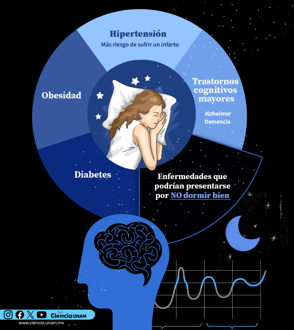 Ciencia_UNAM's tweet photo. #Salud  | ¿Cómo dormiste hoy?
Te recordamos que lo que nos hace sentirnos descansados y con energía no es la duración del sueño, sino el número de ciclos completos que realizamos.
https://t.co/NiUXqneuEb https://t.co/yvprTZSYhv
