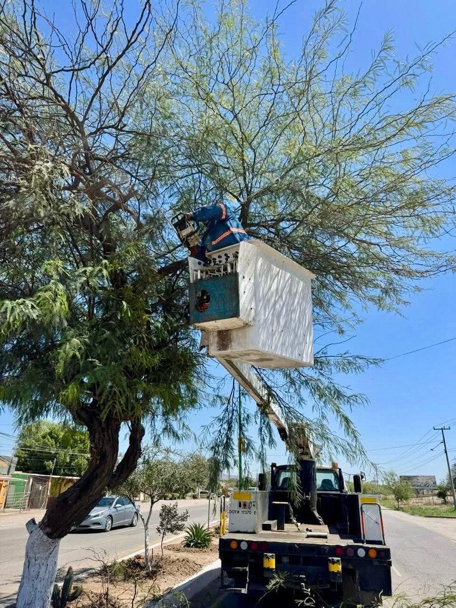 Miguel Angel Haro M. tweet media