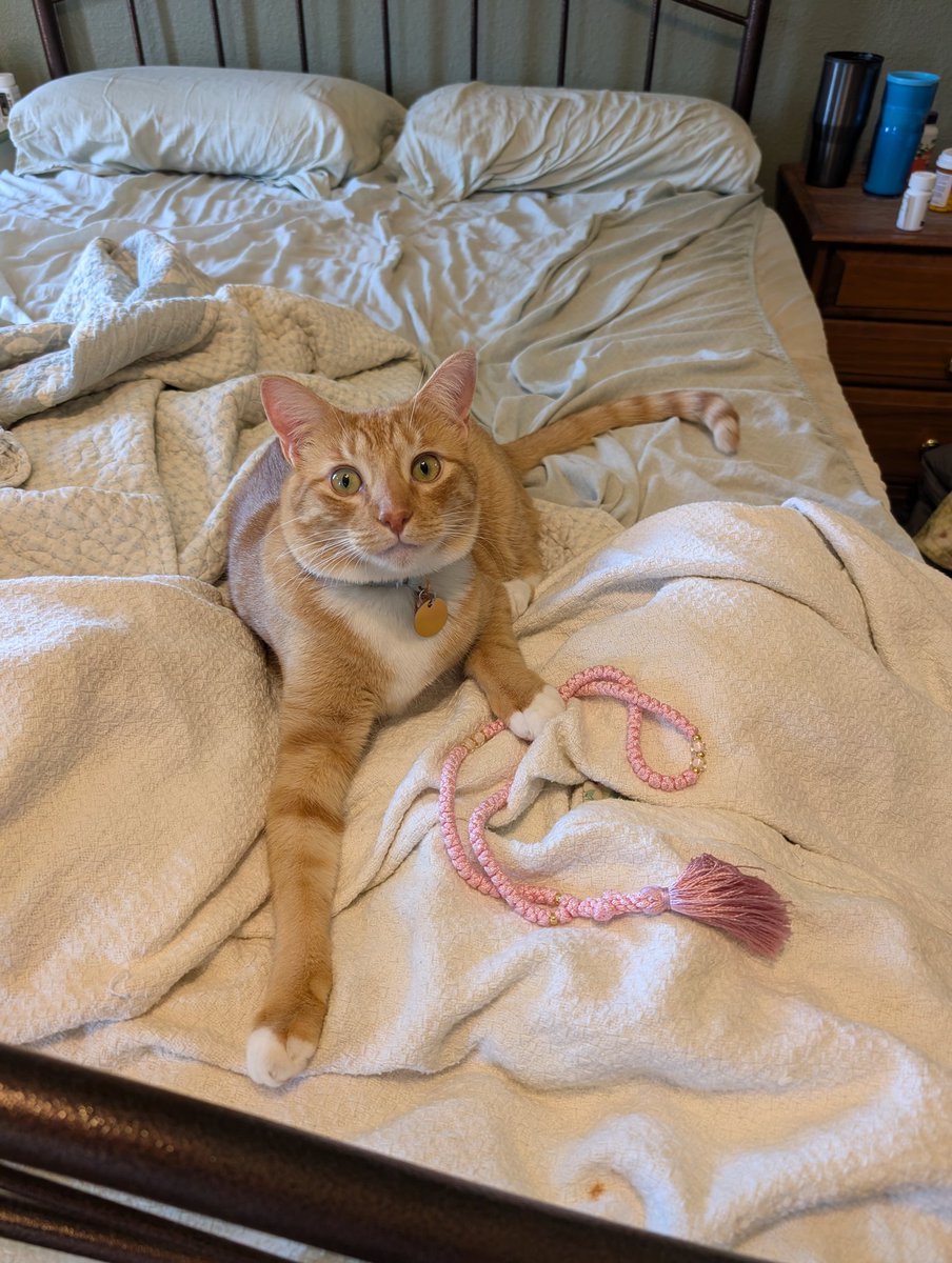 Ginny 🌸 tweet media