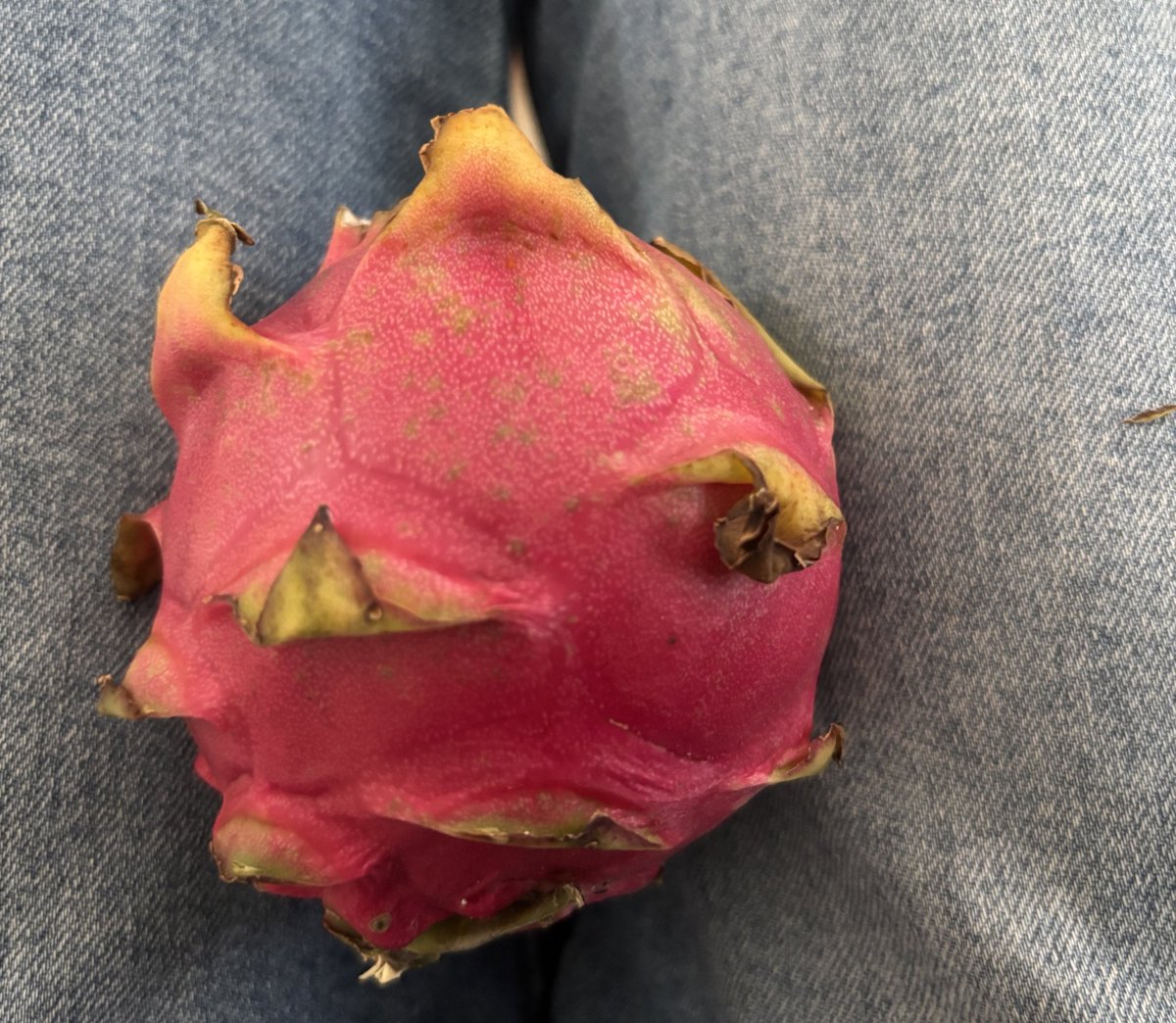 awaria. ❦ tweet media