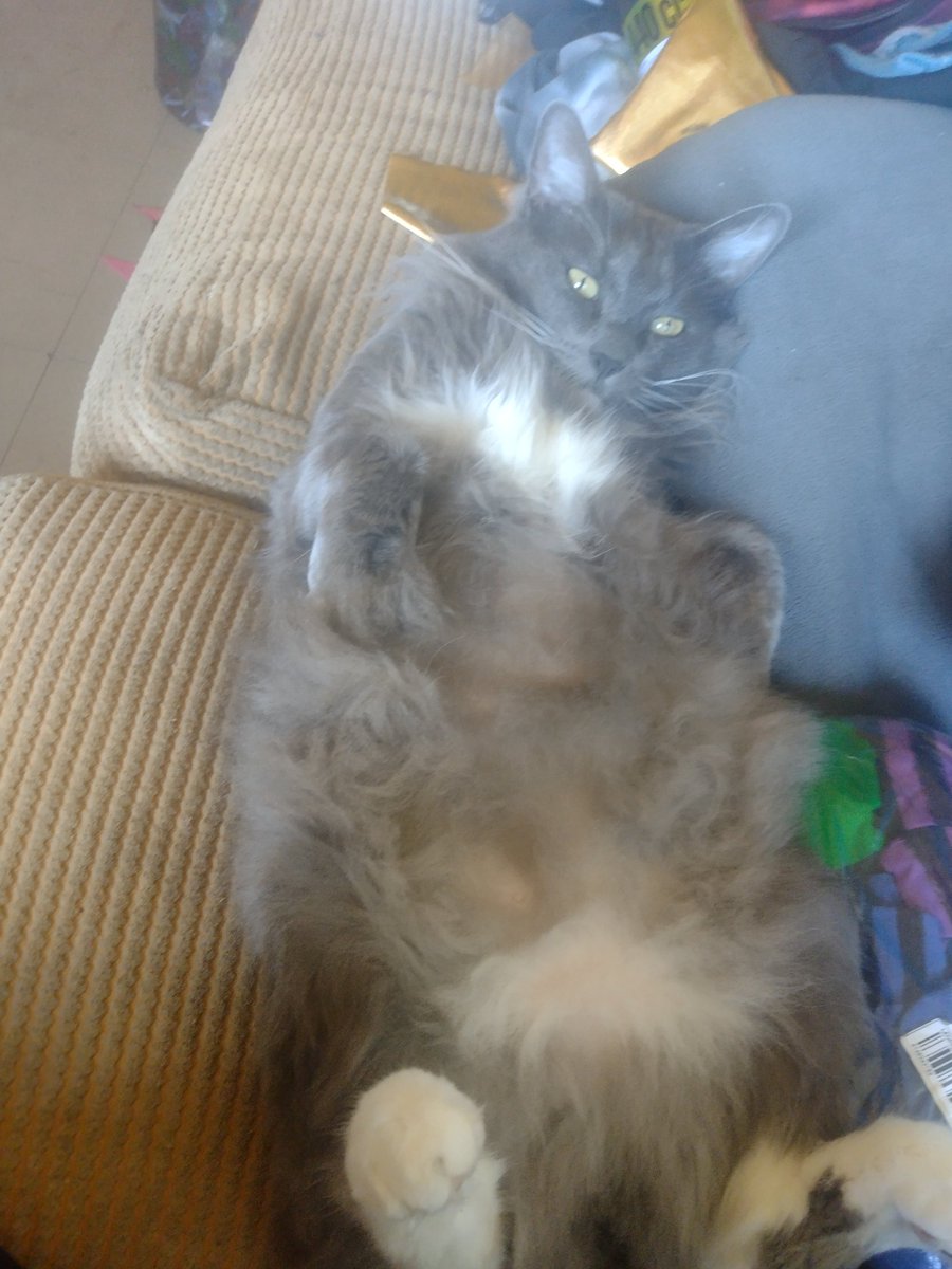 elben ja⁰¹⁰ tweet media