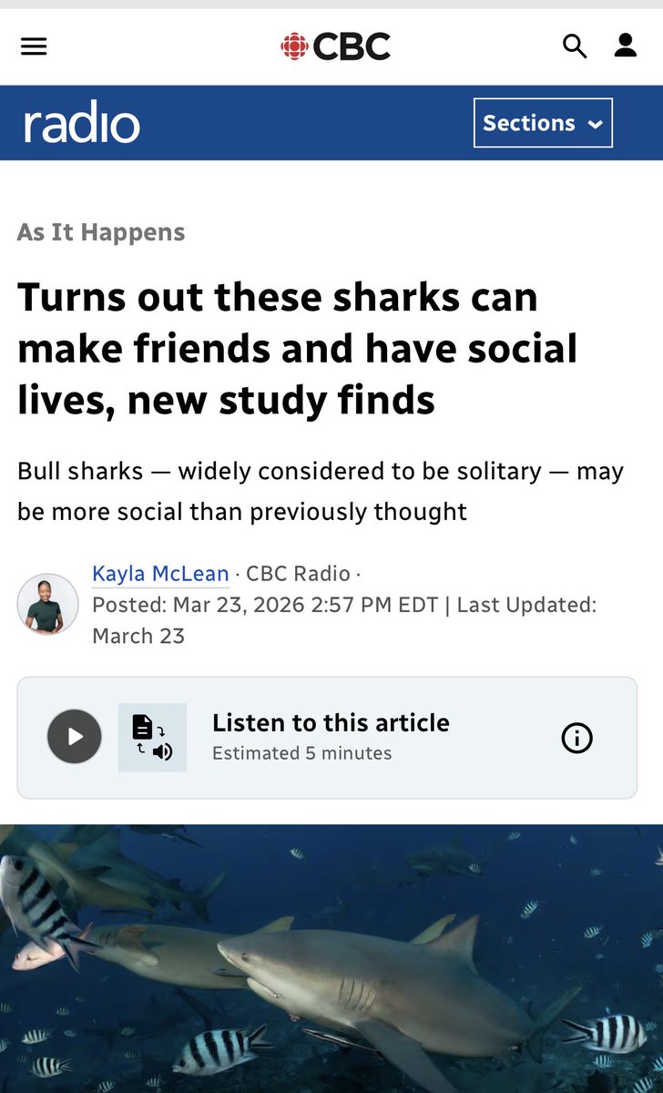 Ishbel 🦑 tweet media