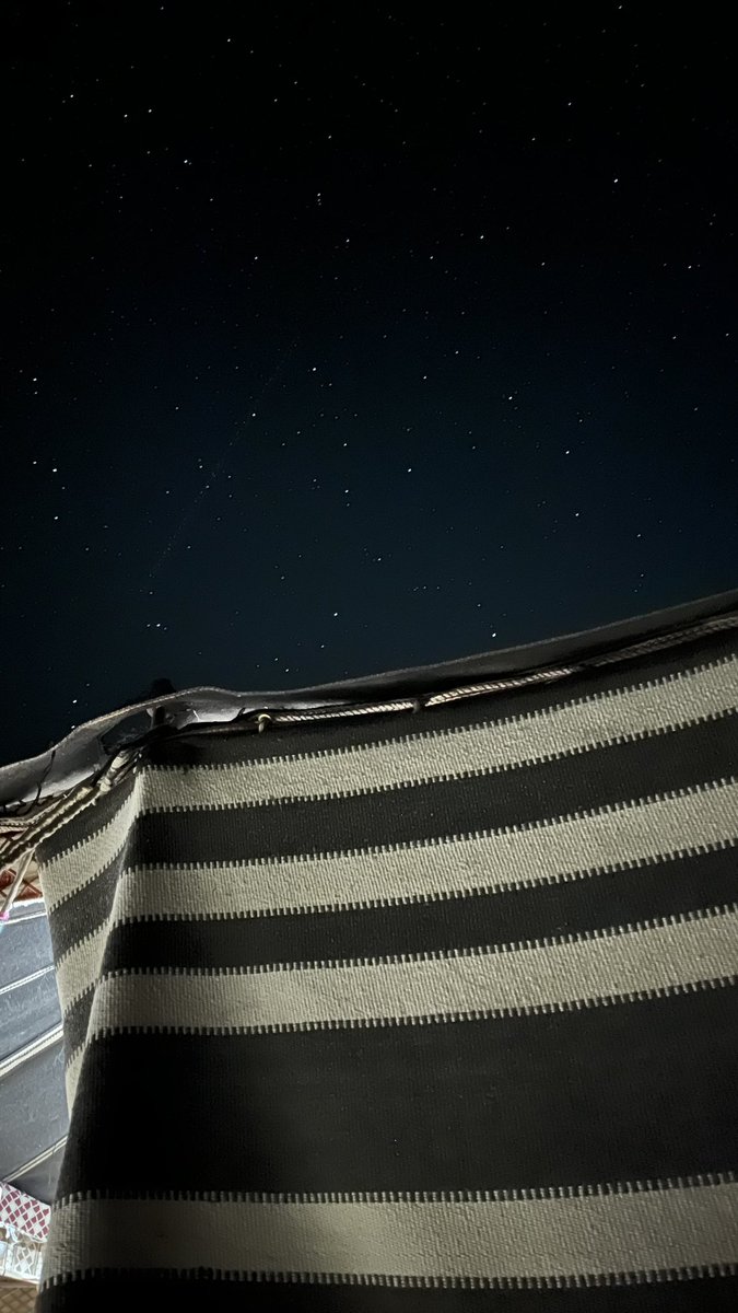 مقدام tweet media