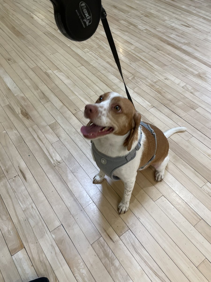 Michael Kelly tweet media