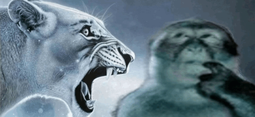 FlasH🩸#XdaQuestãoRPG 7/13 tweet media