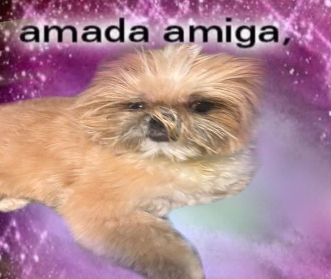 nanys jurídico choke ⁷ tweet media