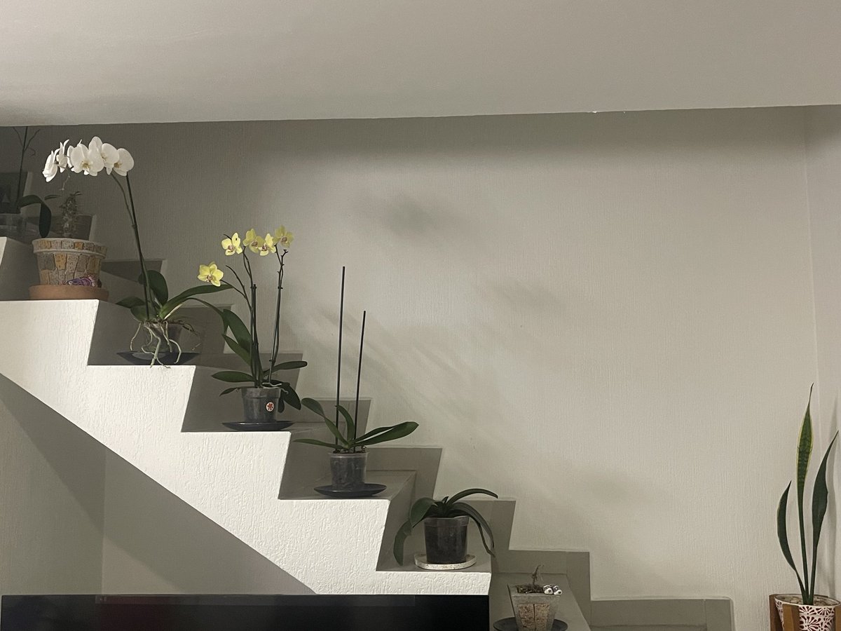 Edgar Agustin Lazcano acosta tweet media