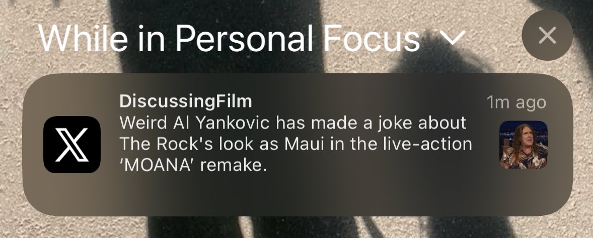 liho🐇 tweet media