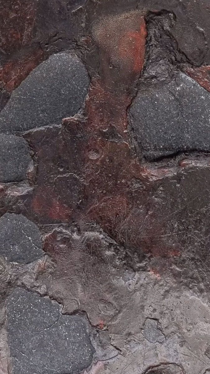 Halal Nation ☪︎ tweet media