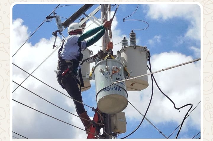 Jose Pereira tweet media