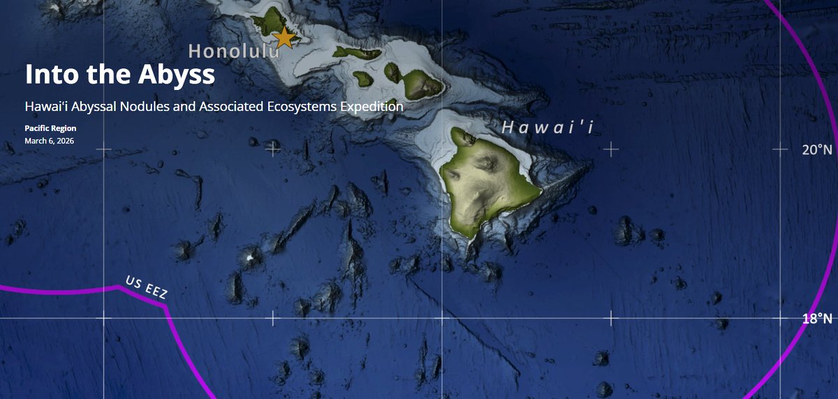 Bureau of Ocean Energy Management tweet media