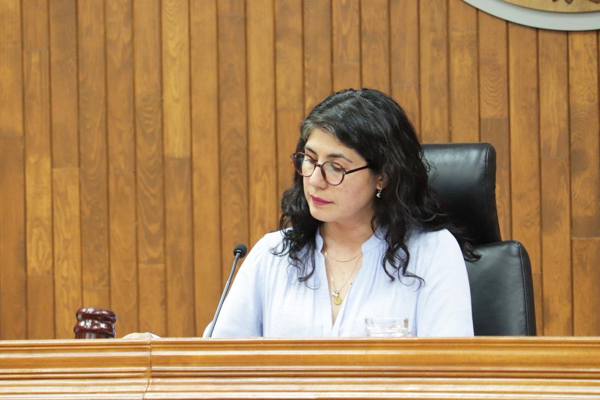 Tribunal Estatal Electoral de Guanajuato tweet media