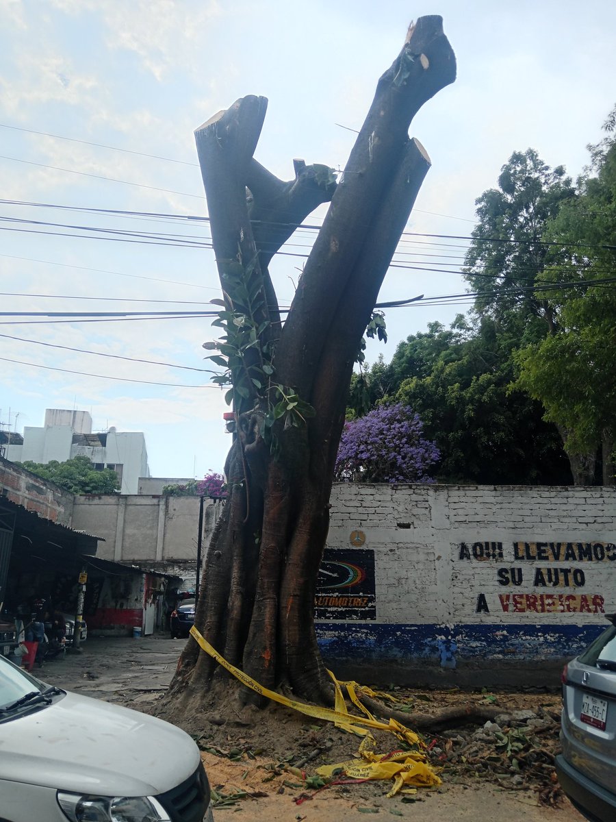 La Nigromanta tweet media