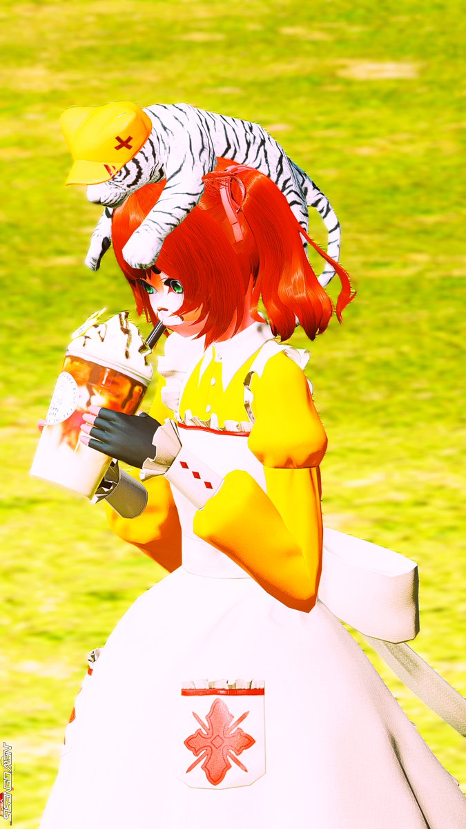 コニーリョ tweet media