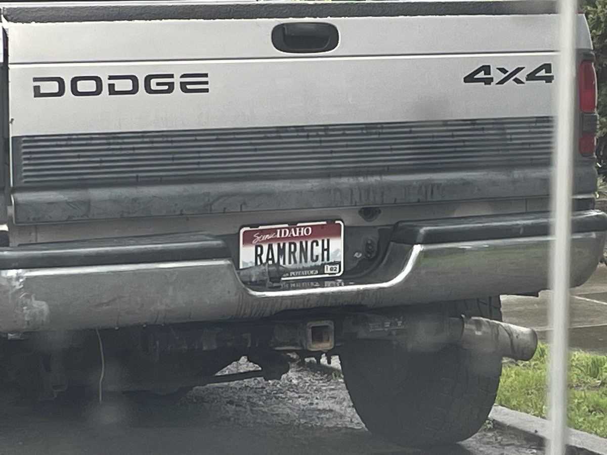 erin 𓆱 tweet media