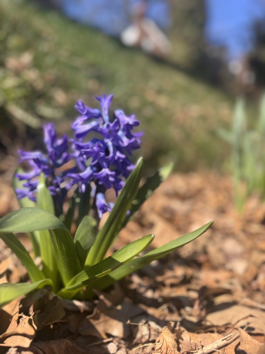 Court ✨ tweet media