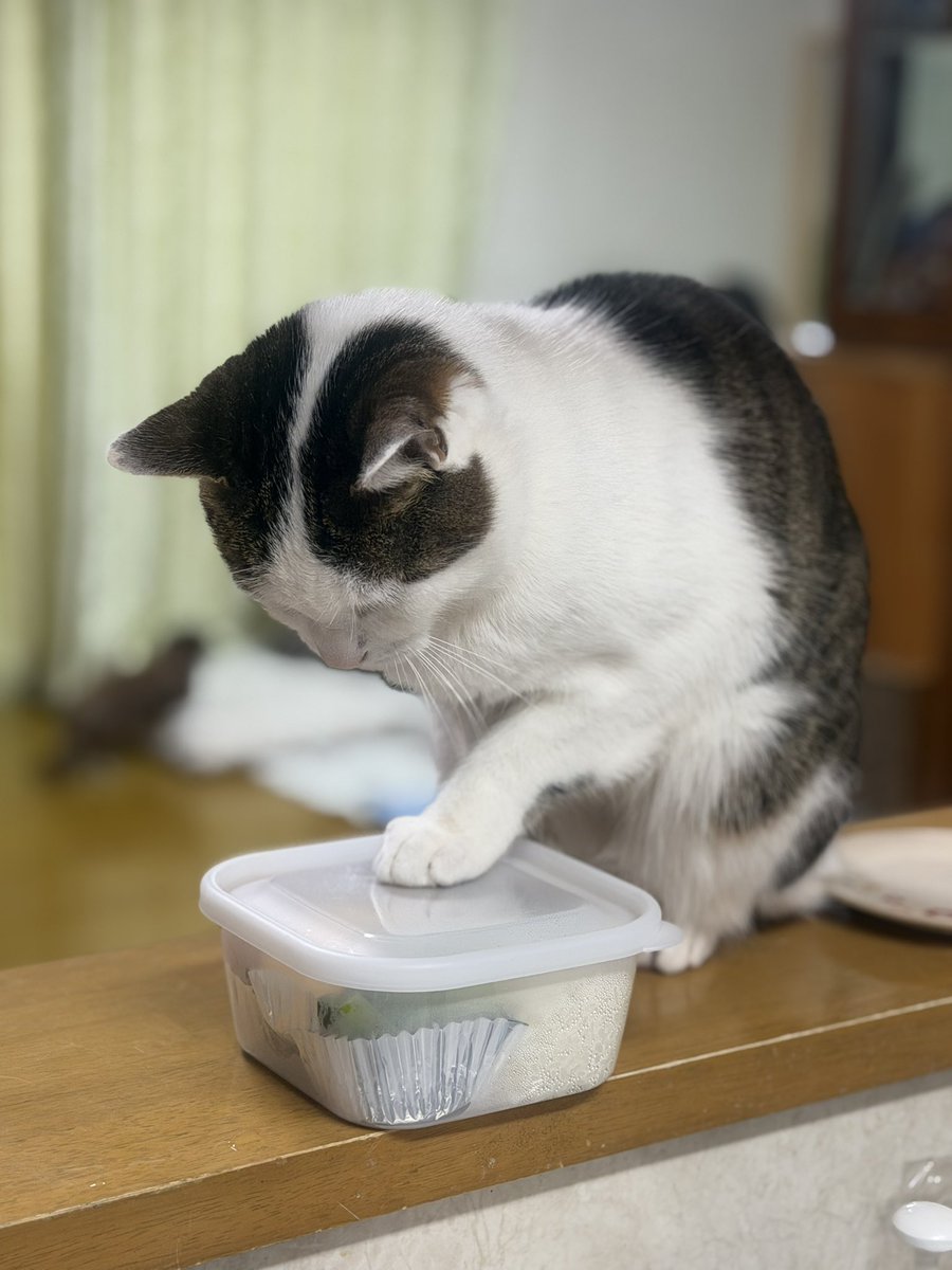 かっちゃん tweet media