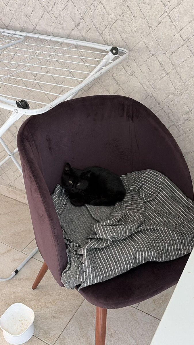 Mary García tweet media