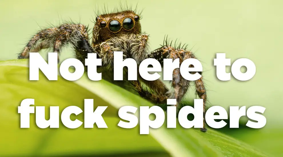 CharlieCatFella tweet media