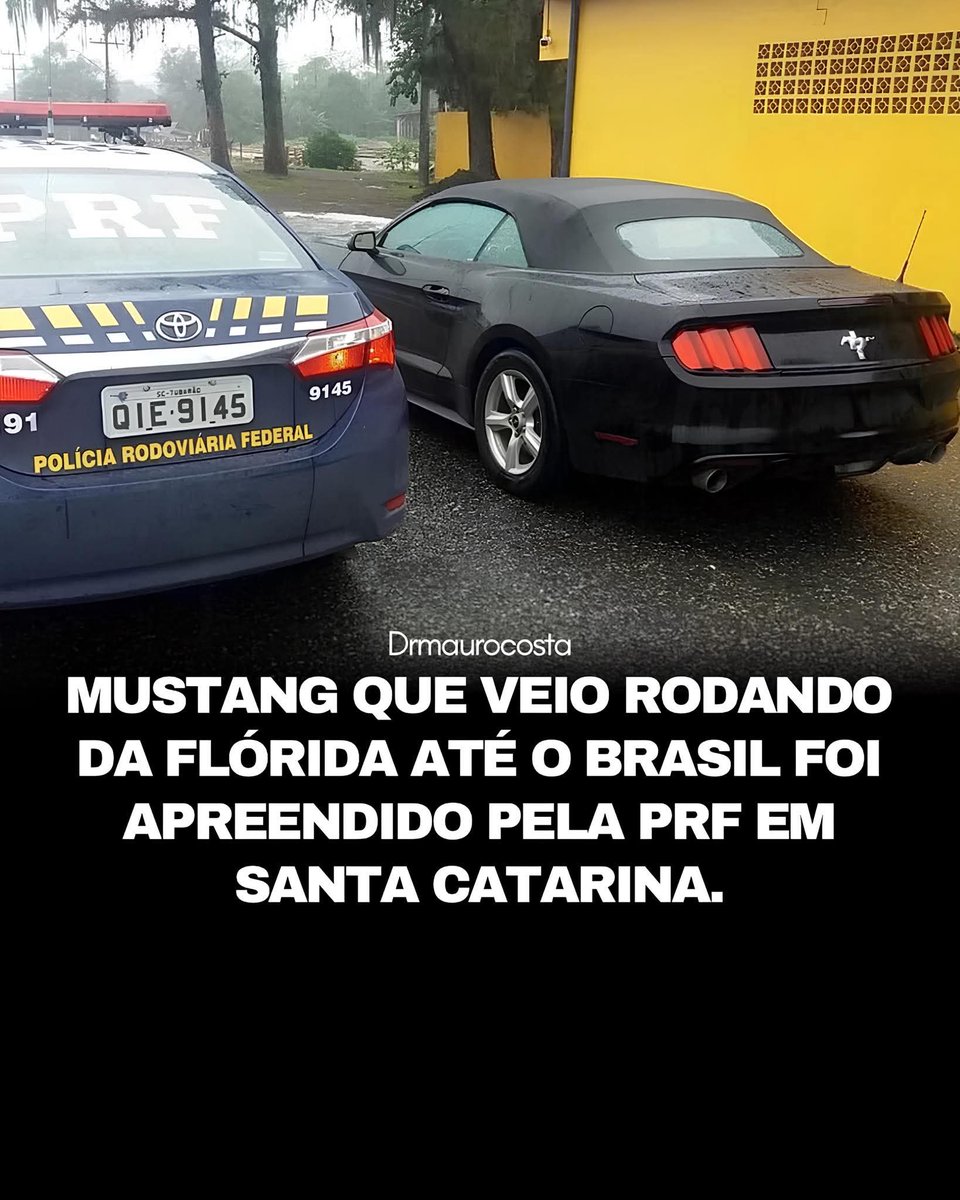 fã de bahianos tweet media