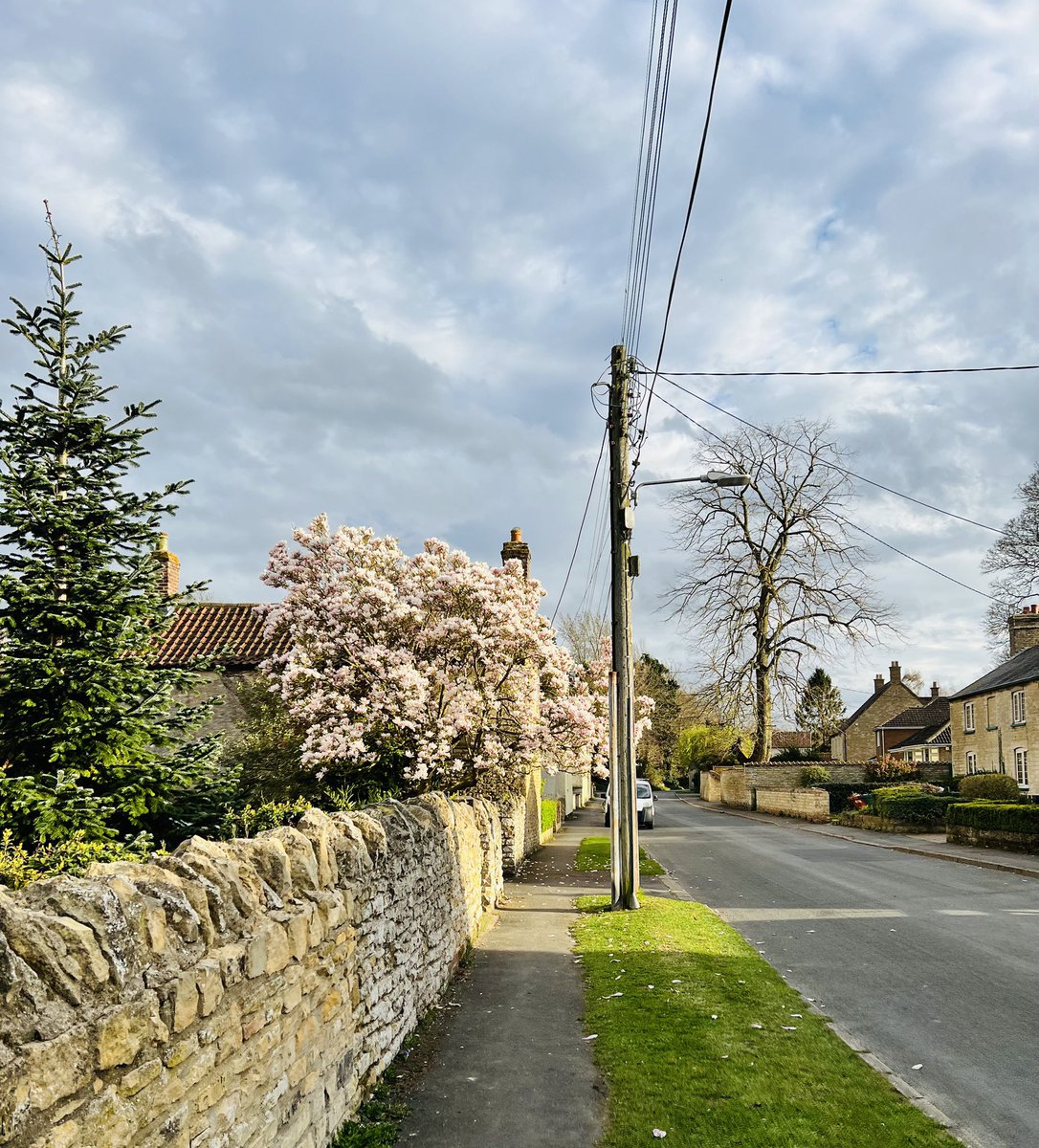 Nigel Wass tweet media