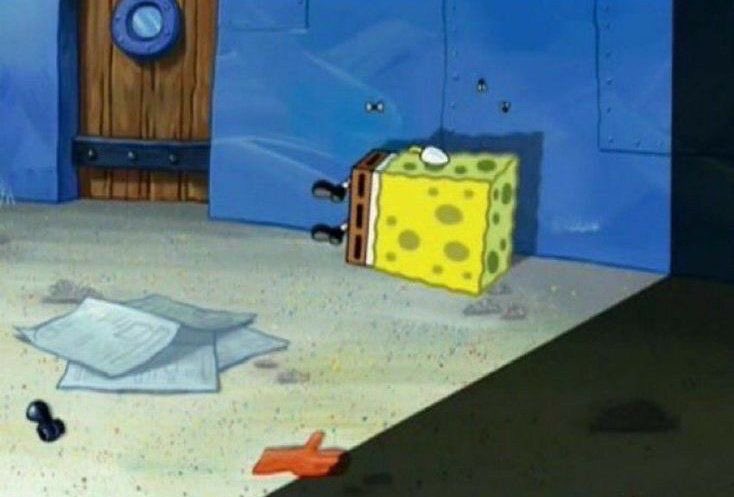 ⋆.𐙚 ariela tweet media