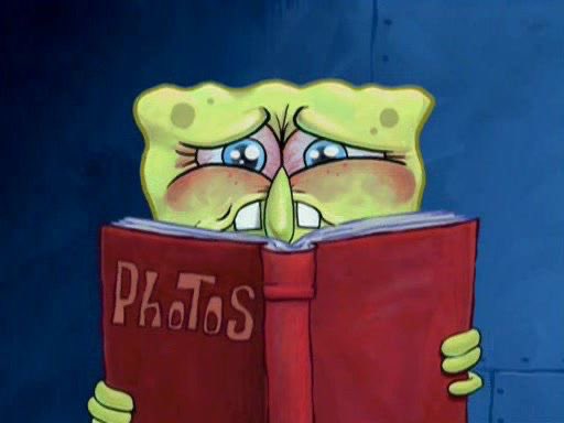 ⋆.𐙚 ariela tweet media