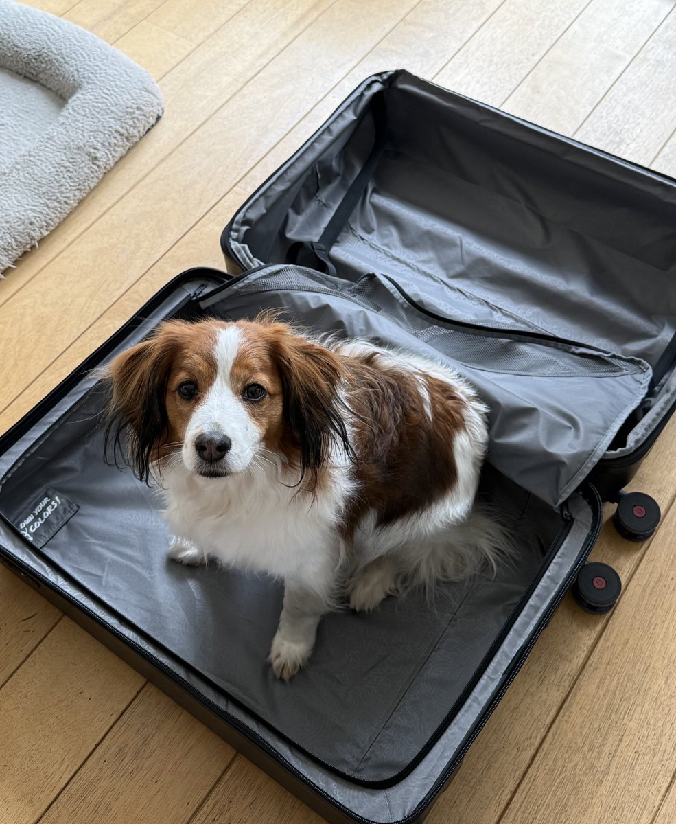 Charlotte⁷ ✨ tweet media