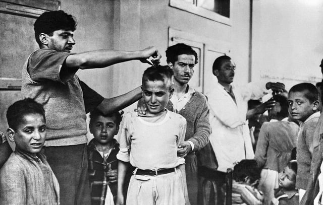 History Hub tweet media