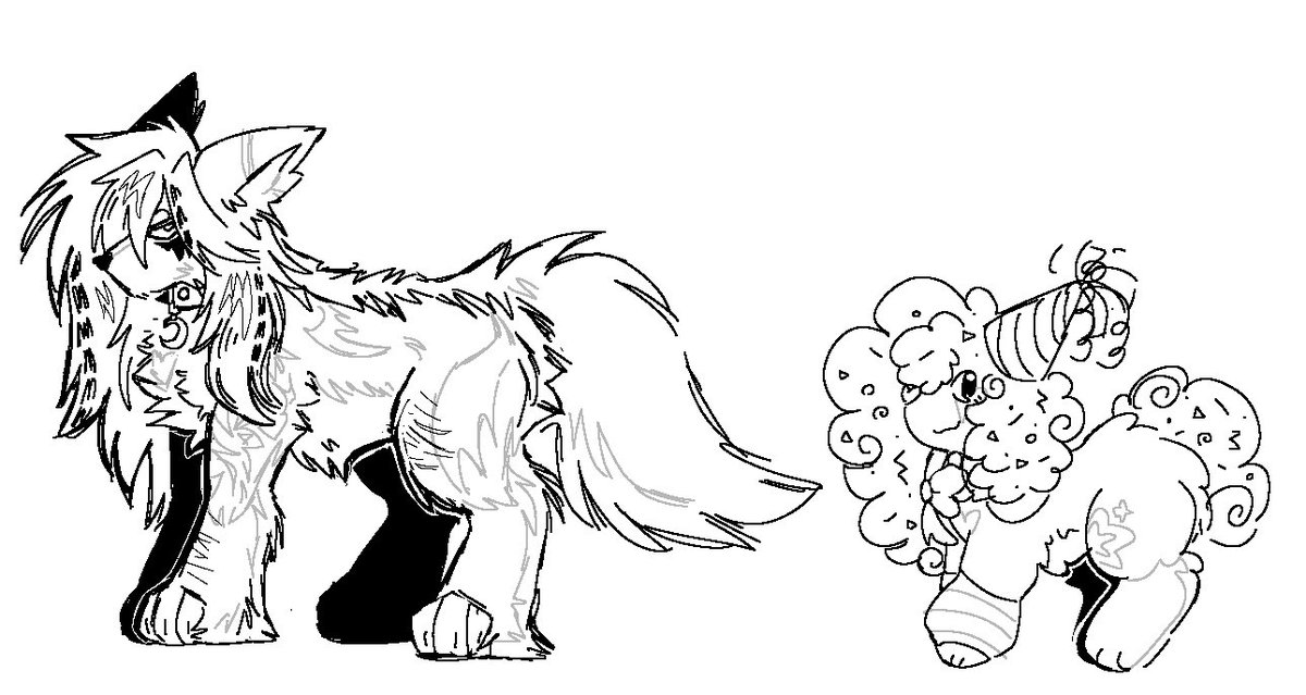 north 🐾 tweet media