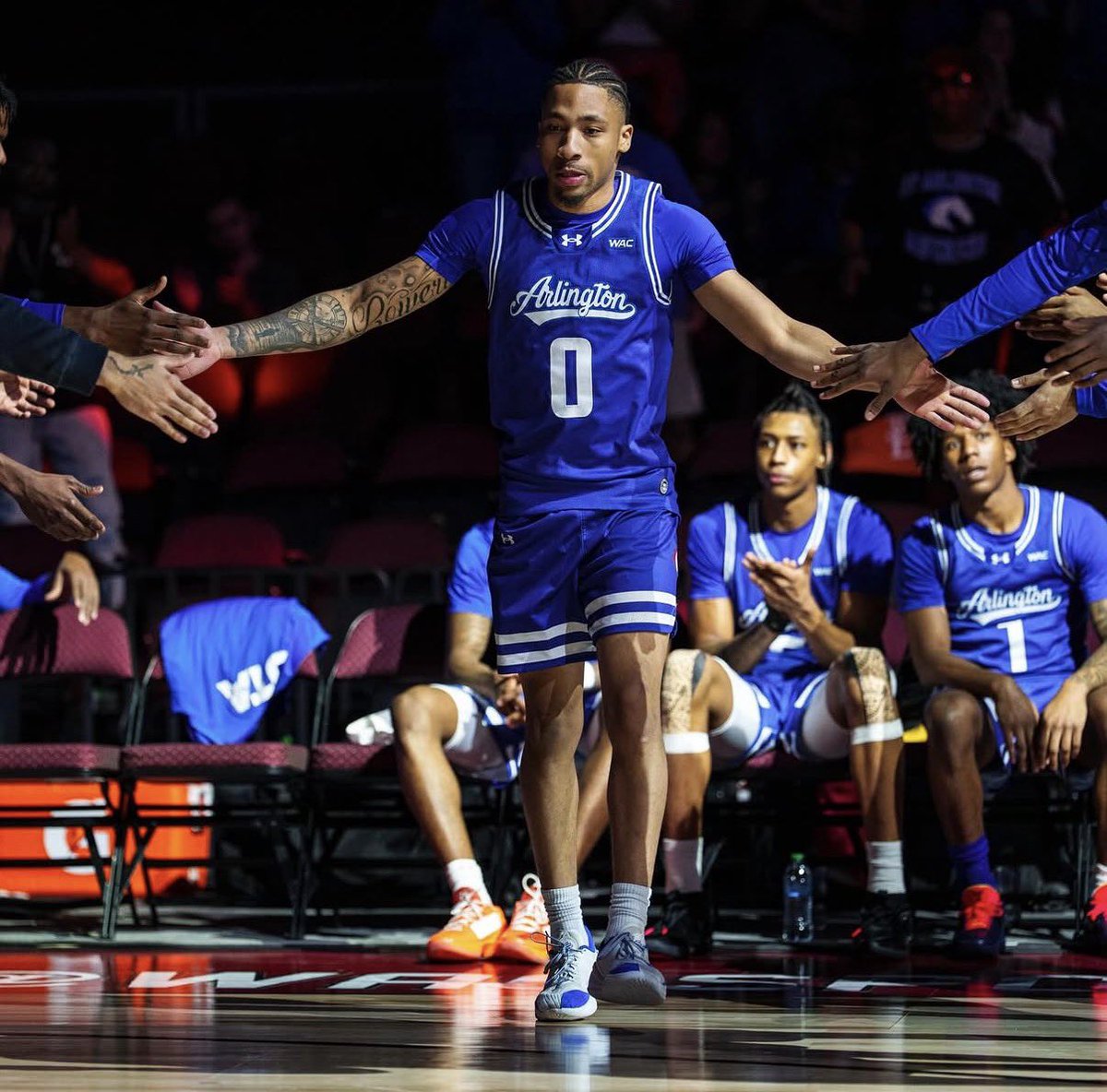 Tobias Bass tweet media