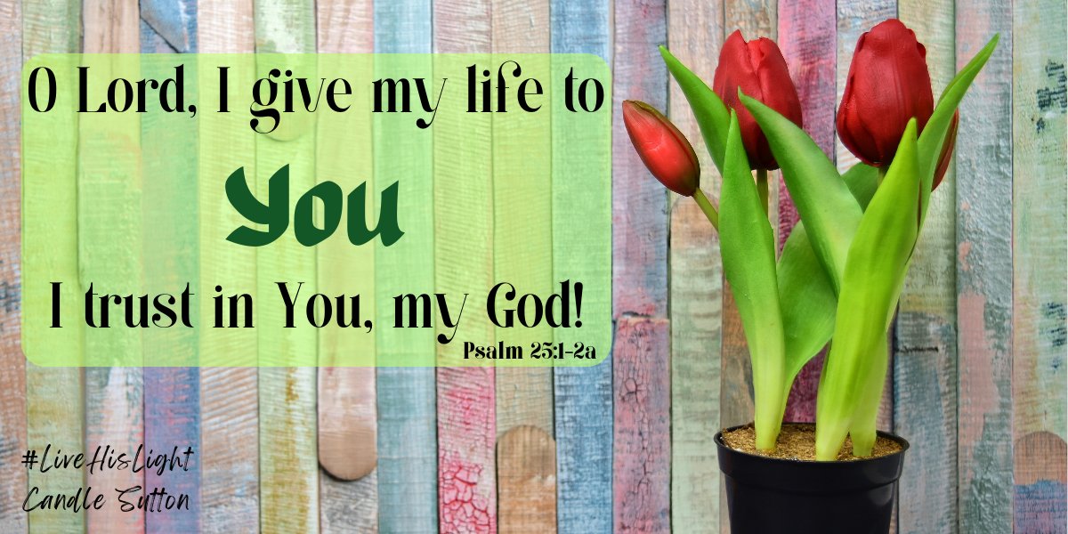candlesutton's tweet image. God is worthy of my full trust!

#LiveHisLight #GiveYourLifeToGod #TrustGod